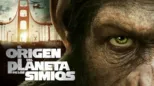 thumbnail - El origen del Planeta de los Simios
