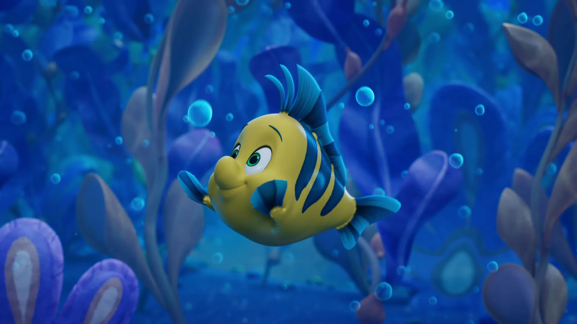 thumbnail - S2:E9 Camping Trip / The Lion Fish