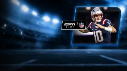 NFL Mini: AFC Divisional Round: Houston Texans vs New England Patriots