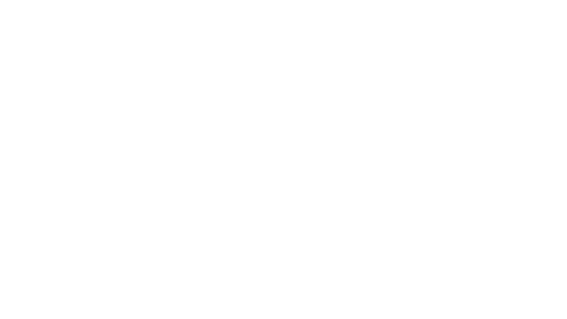 Martin Luther King: Kosárlabda, álmok és remények