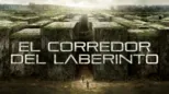 thumbnail - El corredor del laberinto