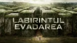 thumbnail - Labirintul: Evadarea