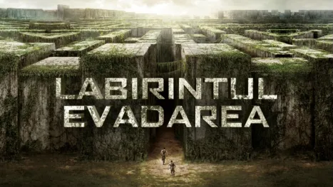 thumbnail - Labirintul: Evadarea