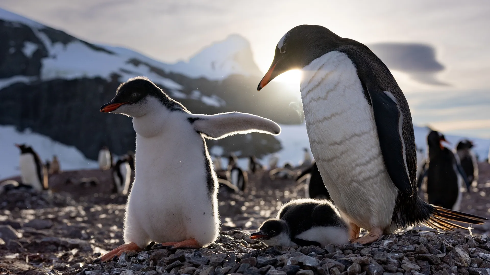 thumbnail - S1:E3 Rebels With a Cause