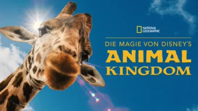 Die Magie von Disney's Animal Kingdom