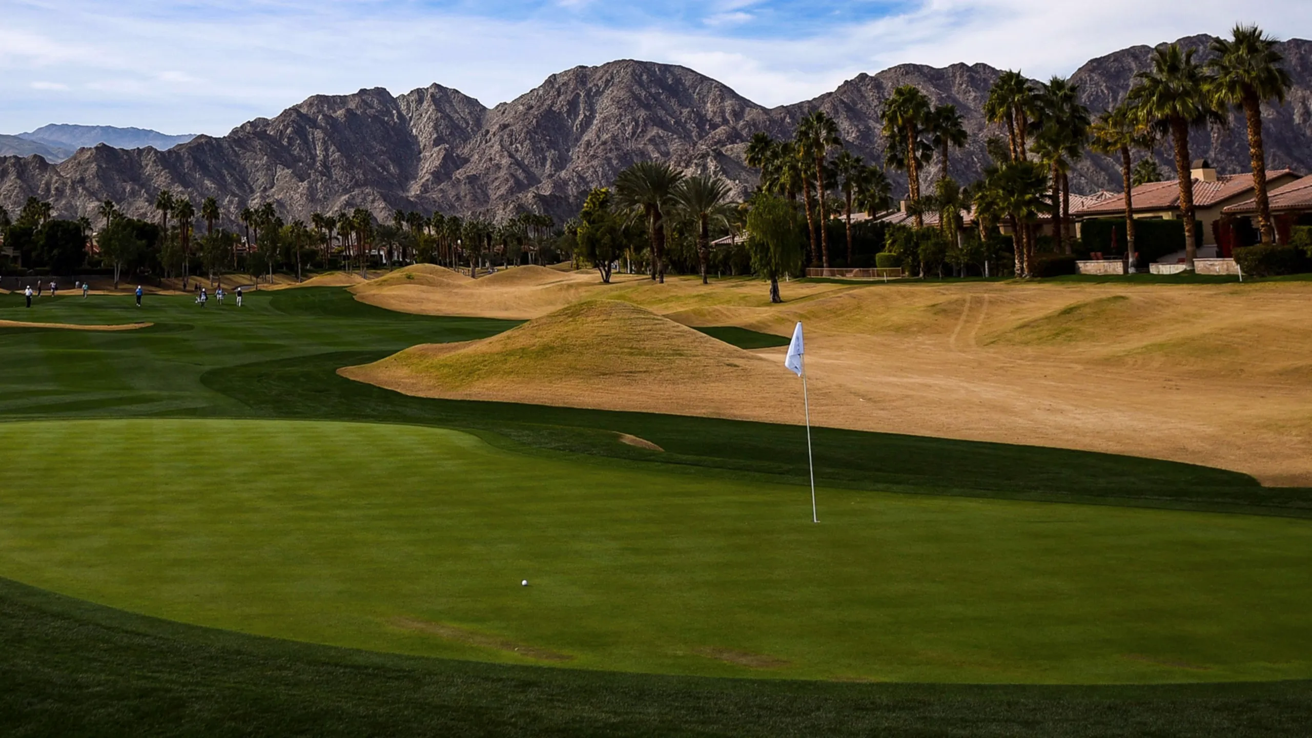 The American Express: Main Feed + Scheffler Group (First Round)