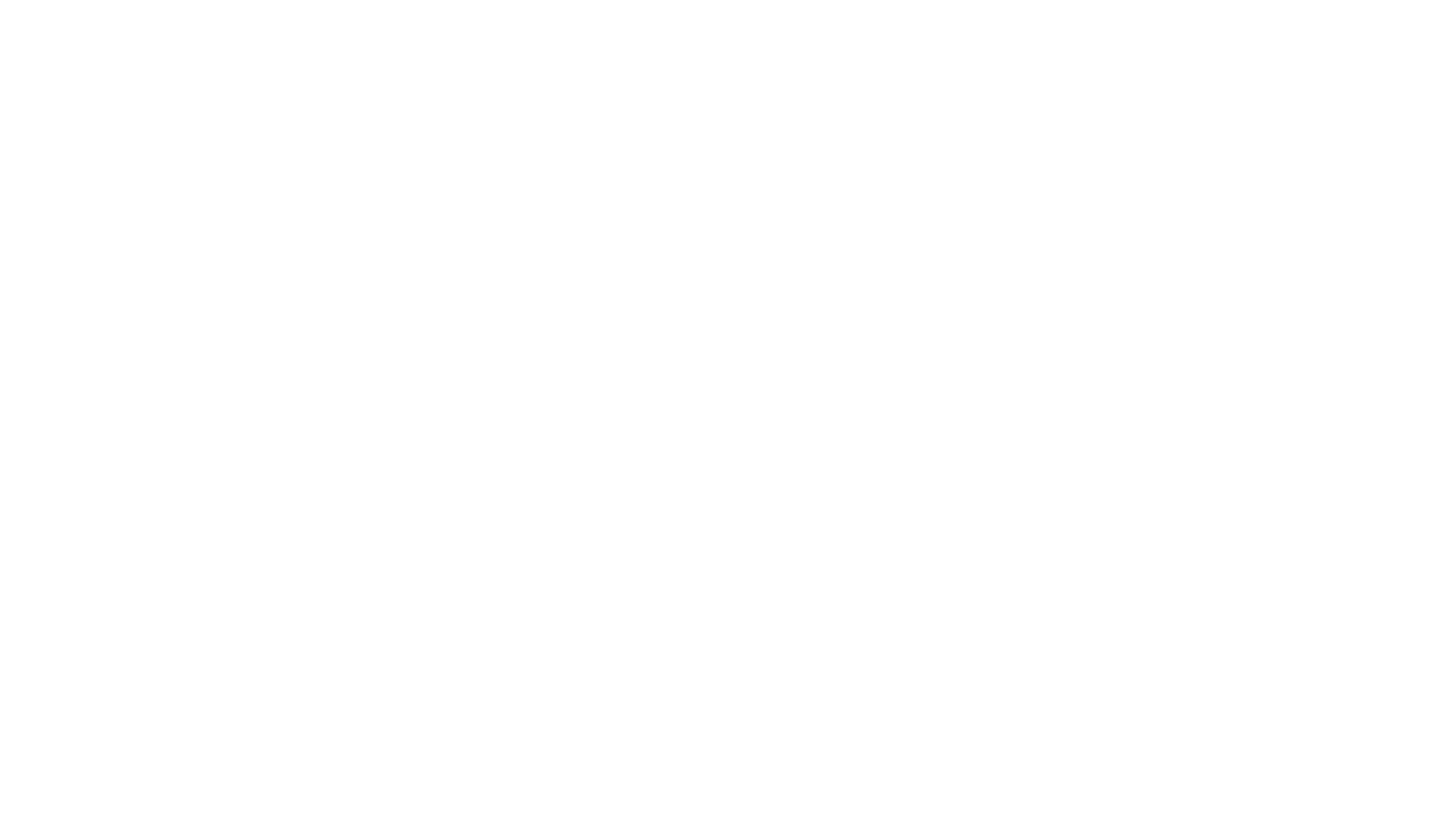 스프링스틴: 광야의 노래