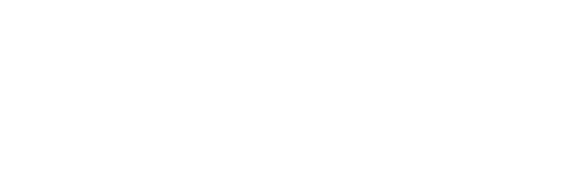 스프링스틴: 광야의 노래