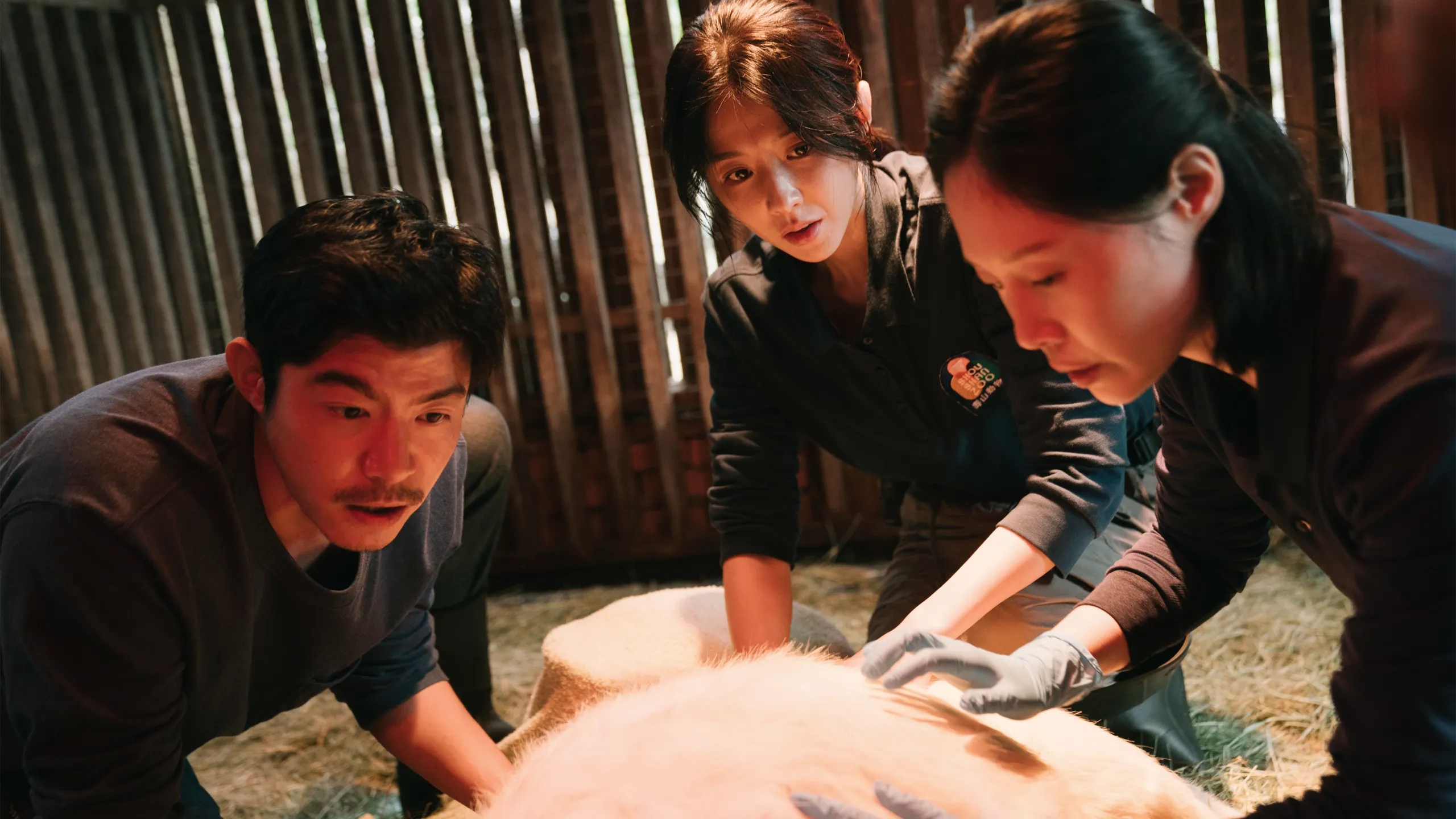 thumbnail - 第 1 季第 3 集：第3集