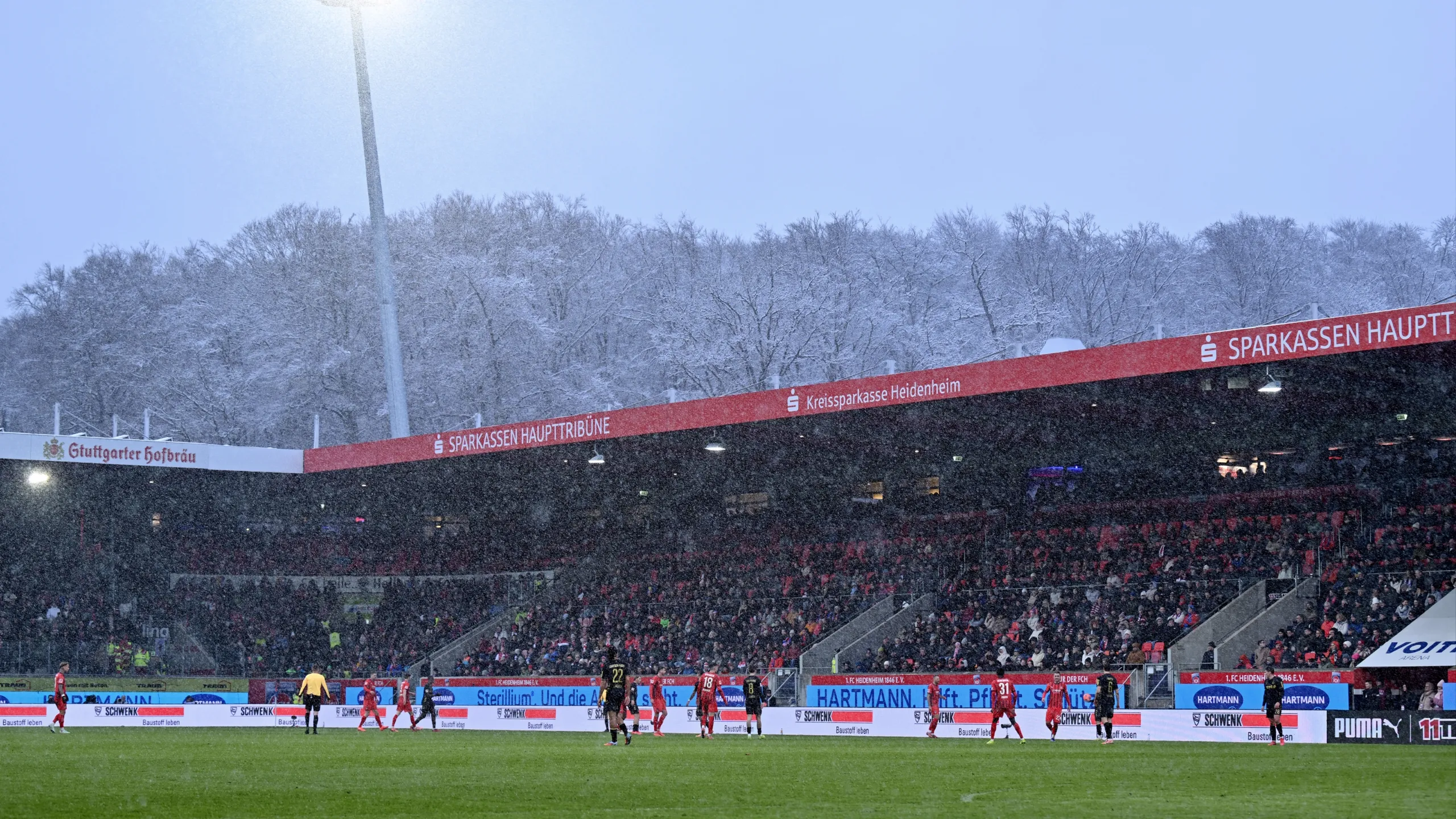 Koln vs. Werder Bremen