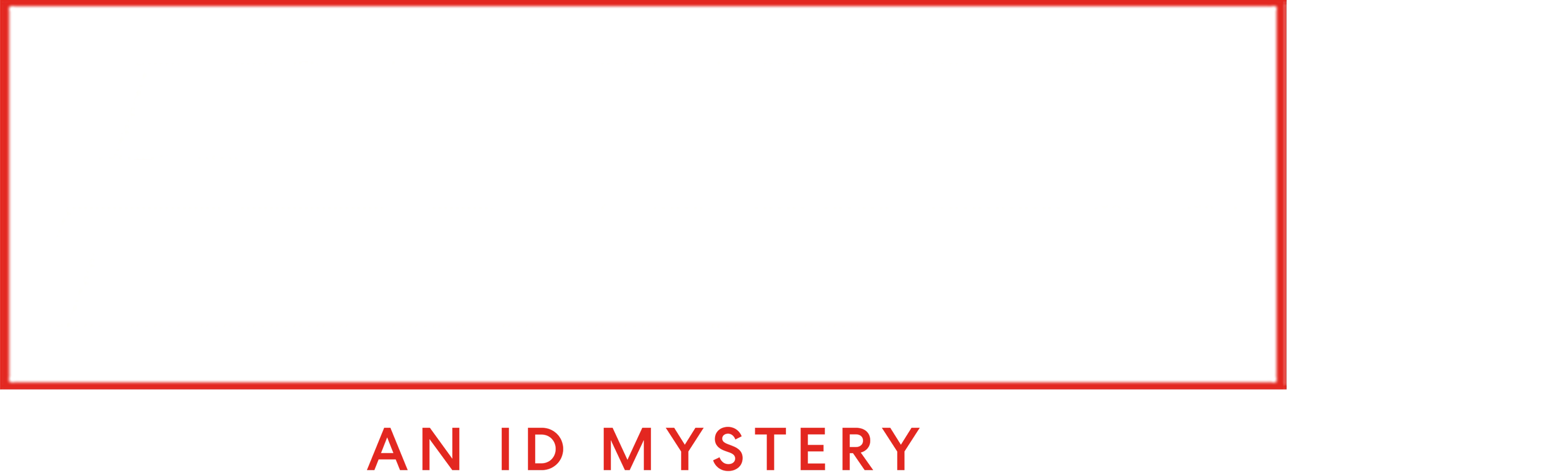 Disappeared in the Darkness: An ID Mystery