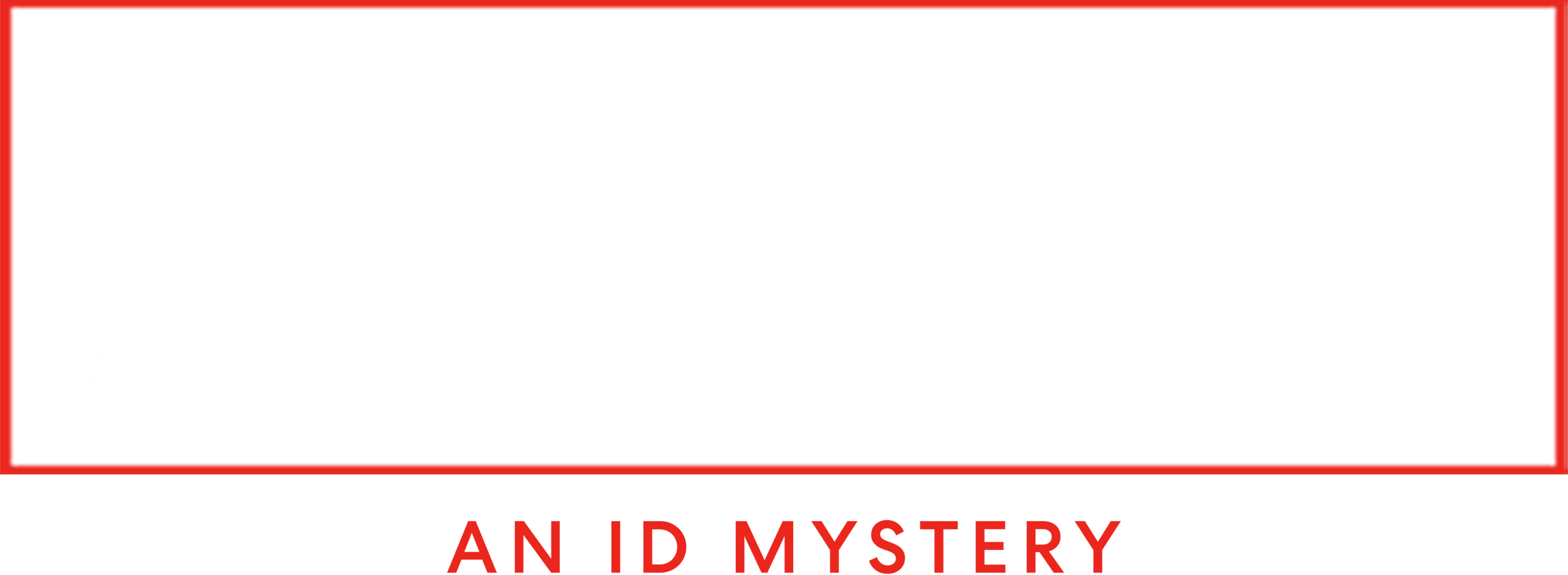 Disappeared in the Darkness: An ID Mystery
