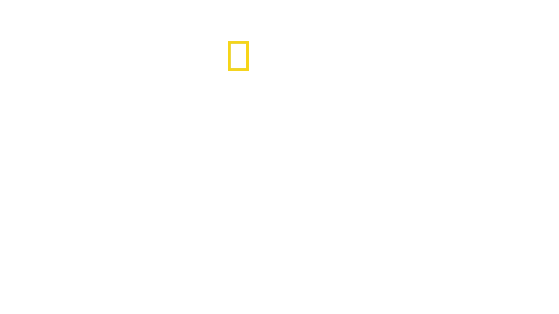 Inside the CIA: Secrets and Spies