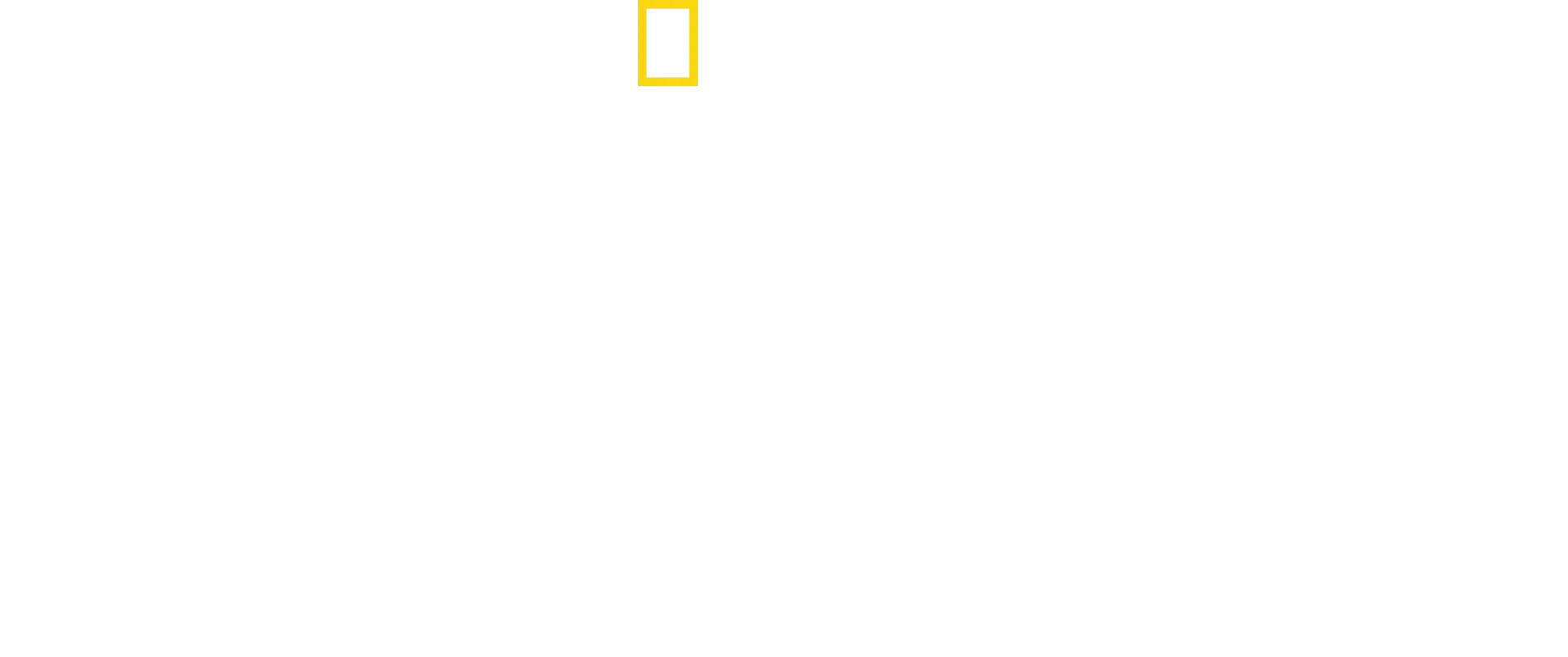 Inside the CIA: Secrets and Spies