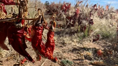 thumbnail - S1:E8 Hot Sauce