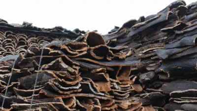 thumbnail - S1:E7 Space Rockets