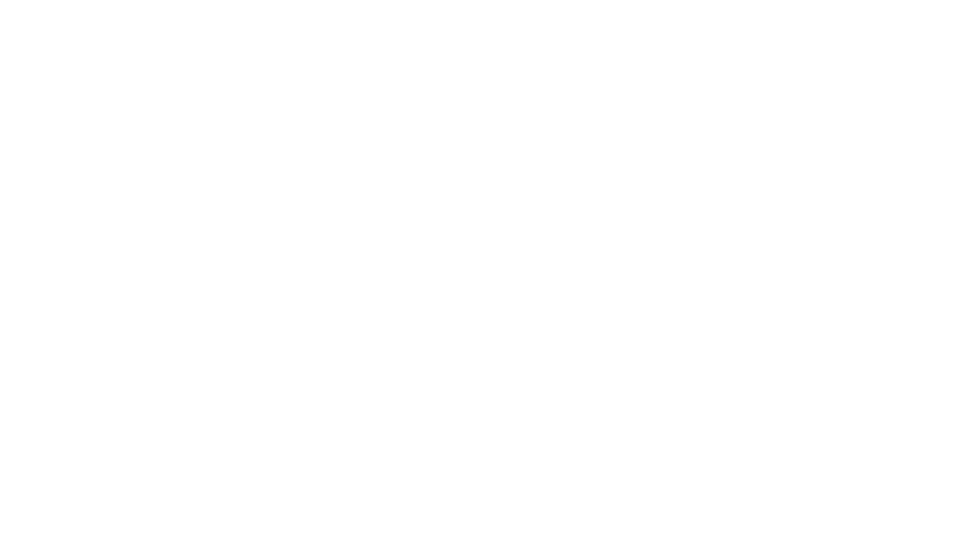 The Assassin