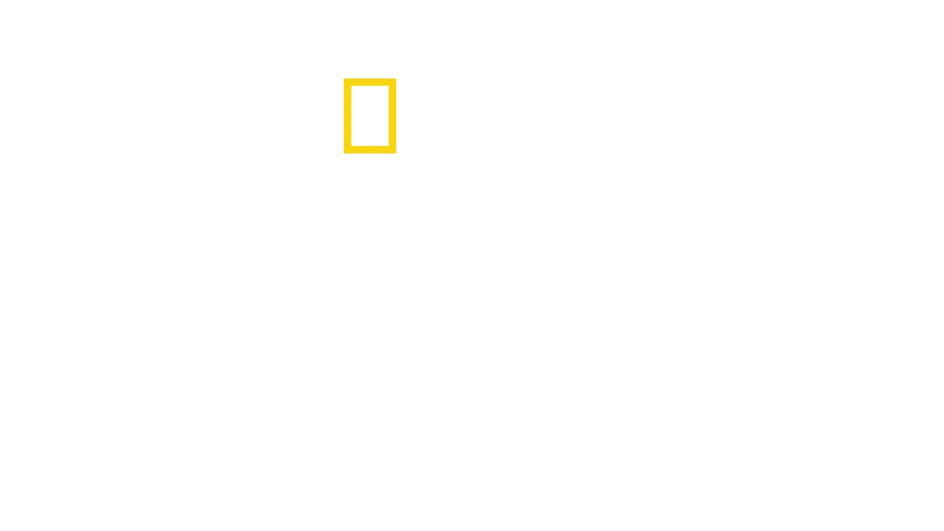 密着エアポート！遺失物取扱所