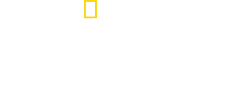 密着エアポート！遺失物取扱所