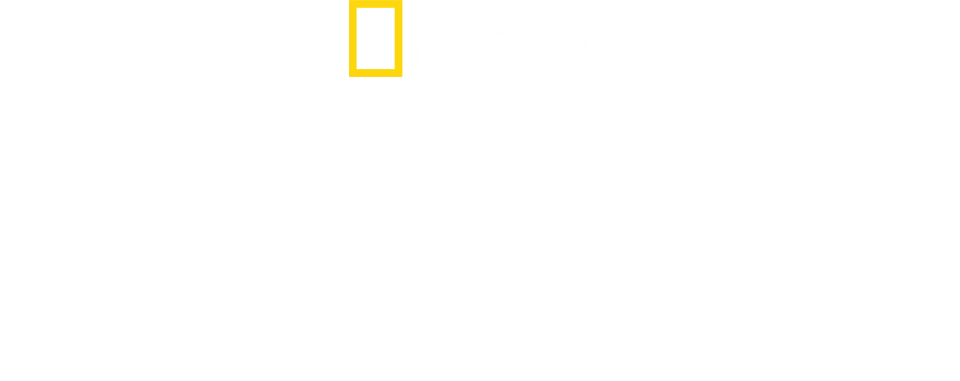 密着エアポート！遺失物取扱所