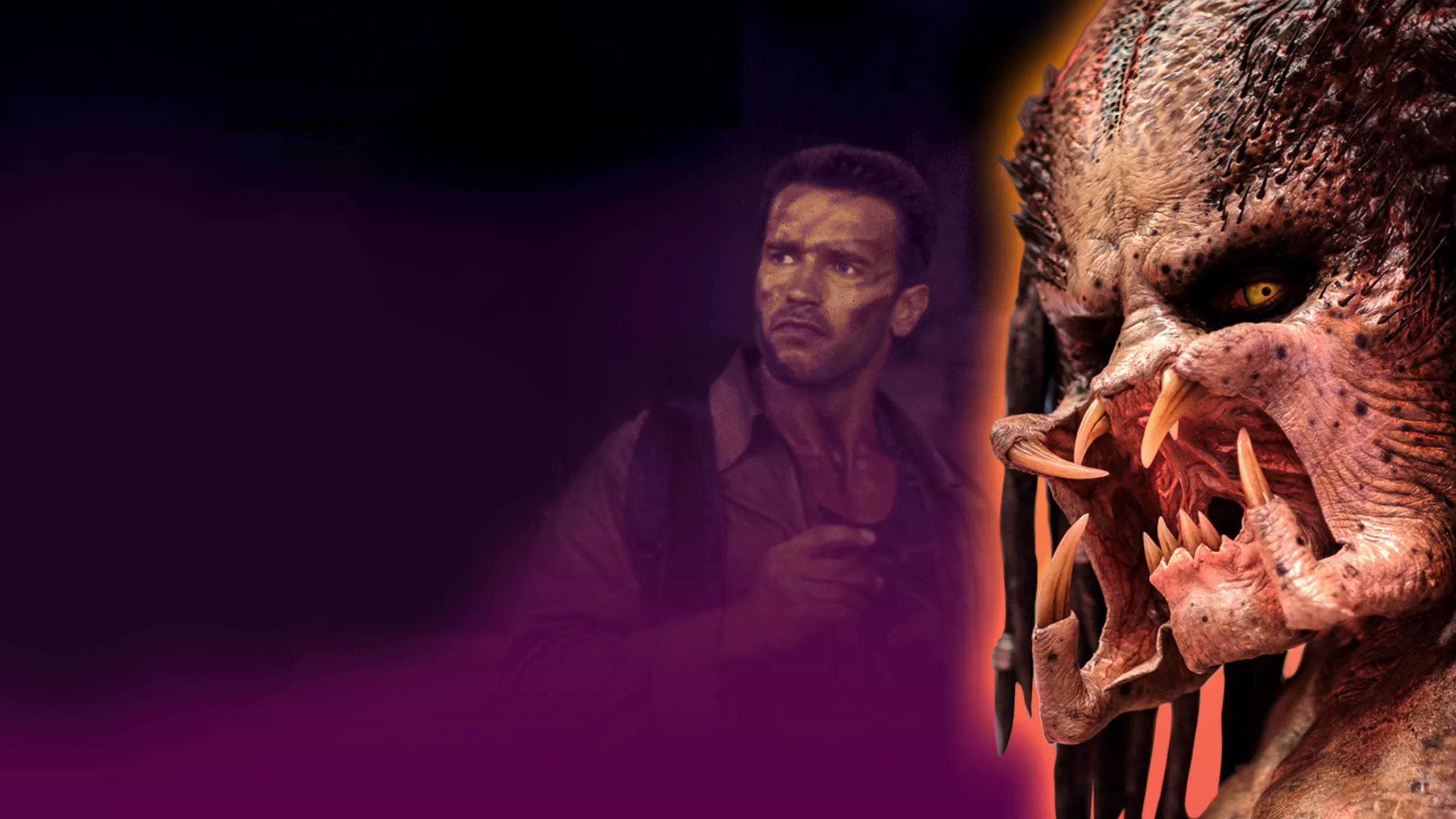 The Entire Predator Story Finally Explained | Looper | Creators Collection