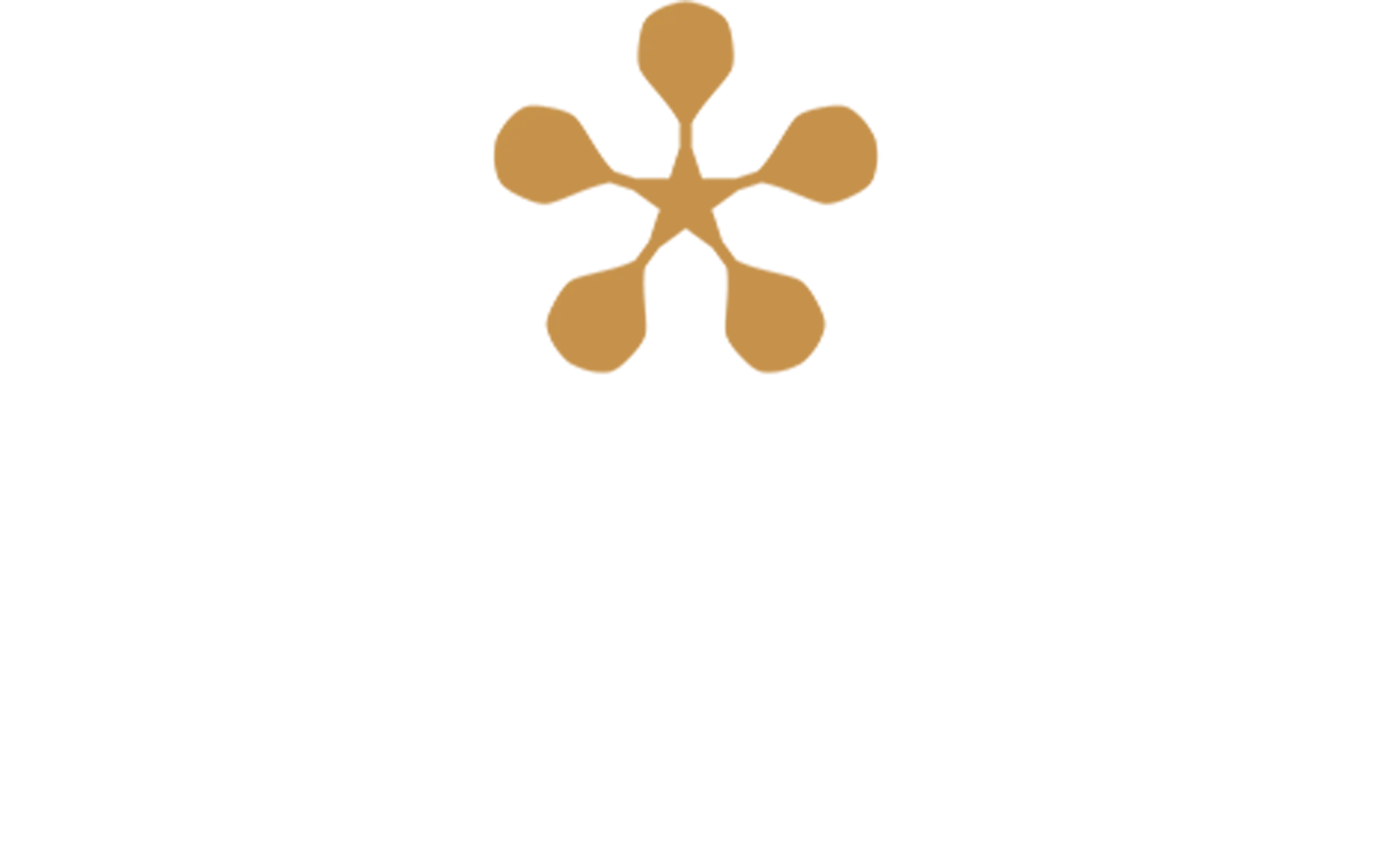 Premier Padel: Londres - Centre Court (Final)