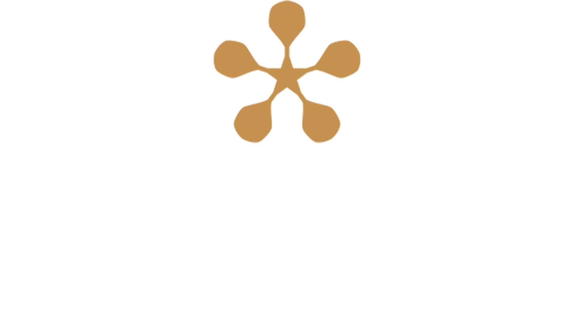 Premier Padel
