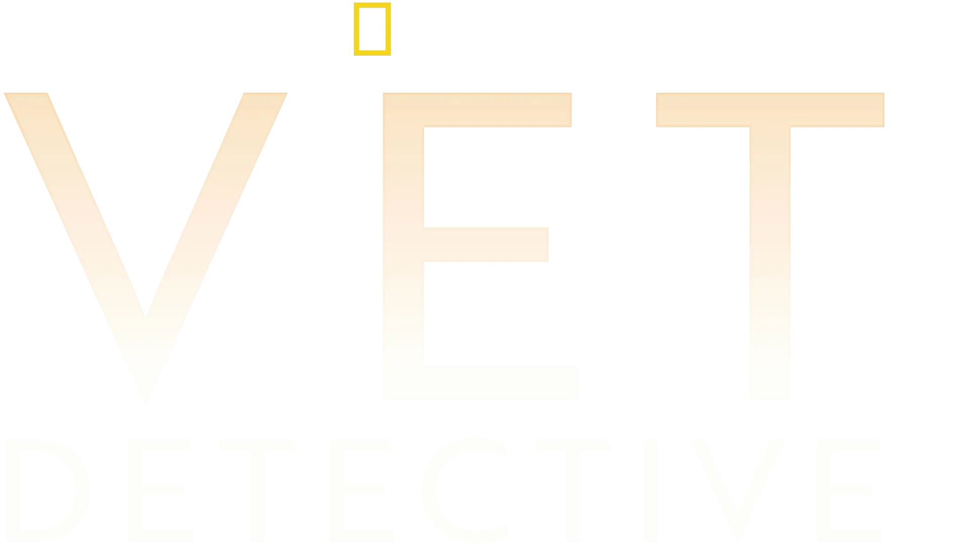 Vet Detective