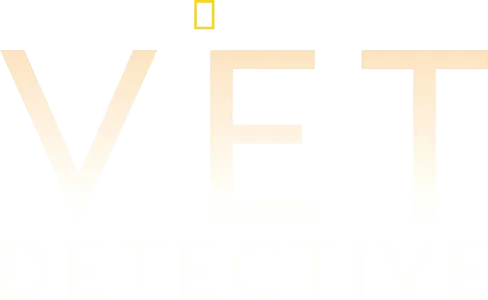 Vet Detective
