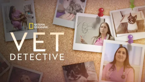 thumbnail - Vet Detective