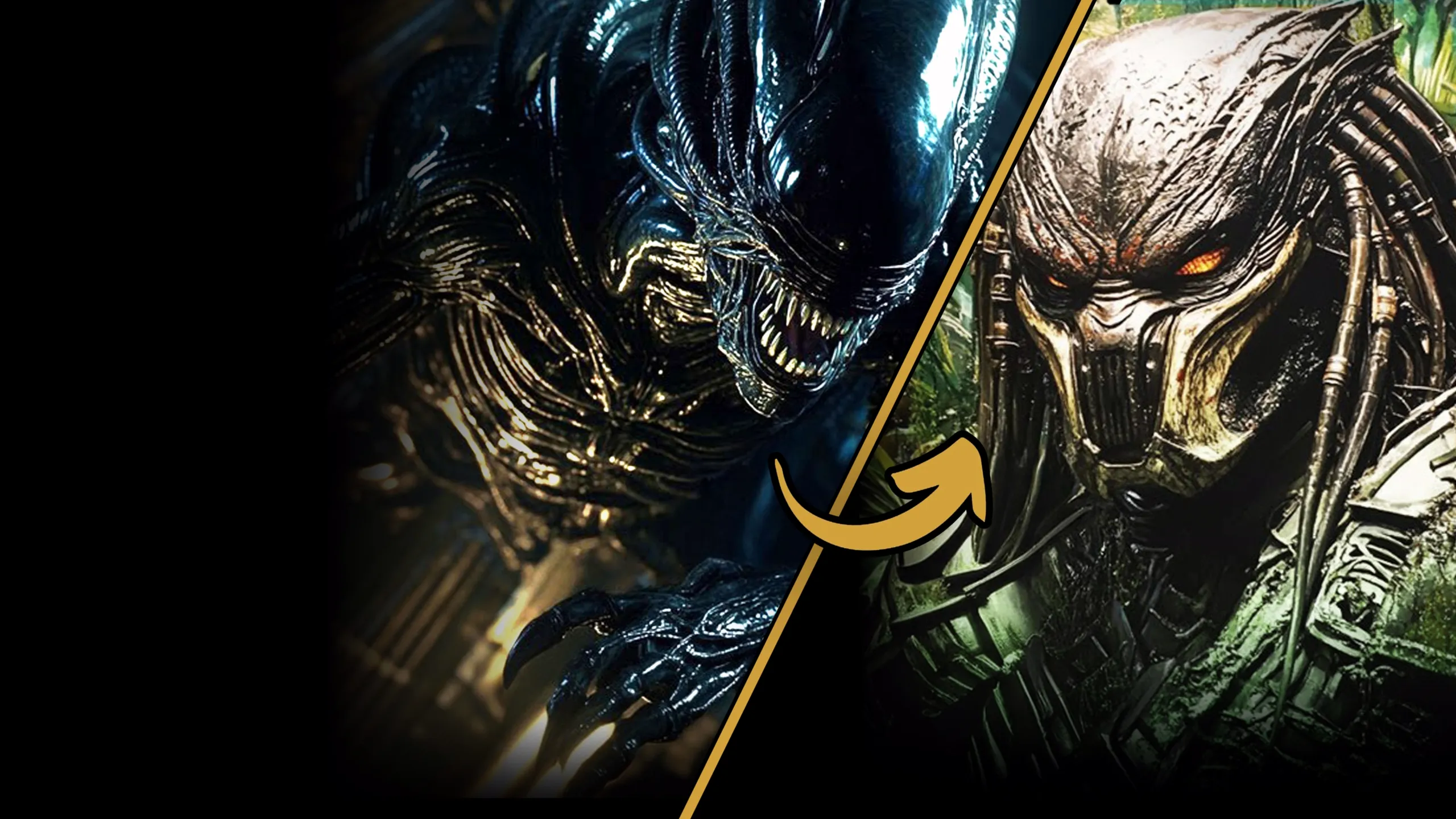 Predator Films Ranked | Screen Rant | Creators Collection