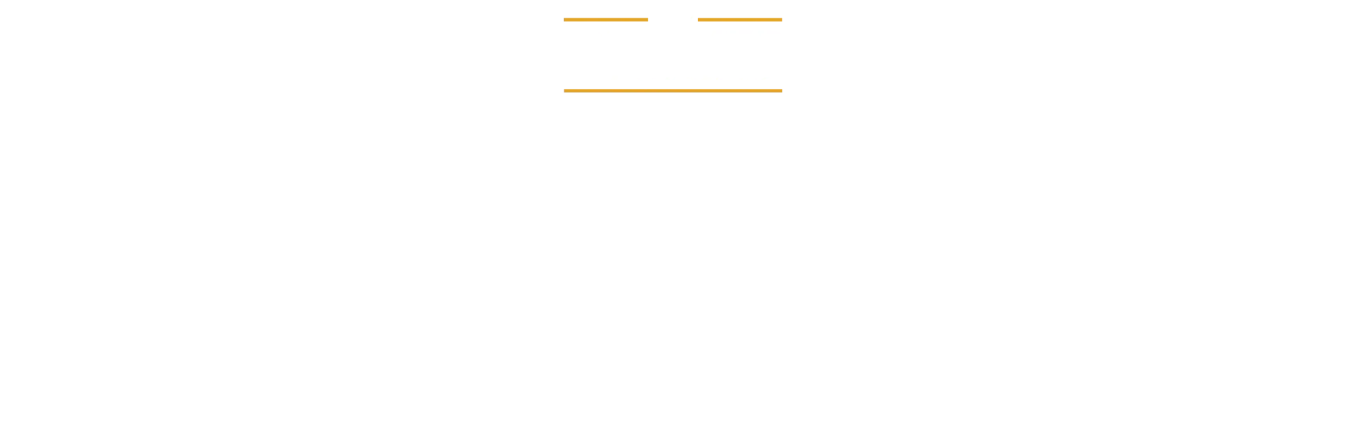 The Fighting Tiger