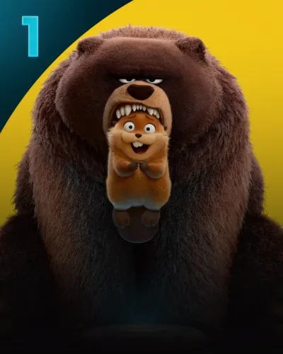 Jumpers | A Special Look