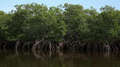 thumbnail - S2:E2 Biscayne