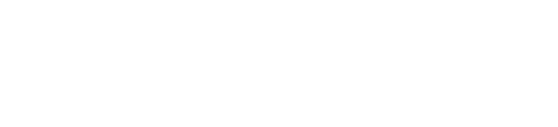 몰몬교 주부들의 은밀한 사생활