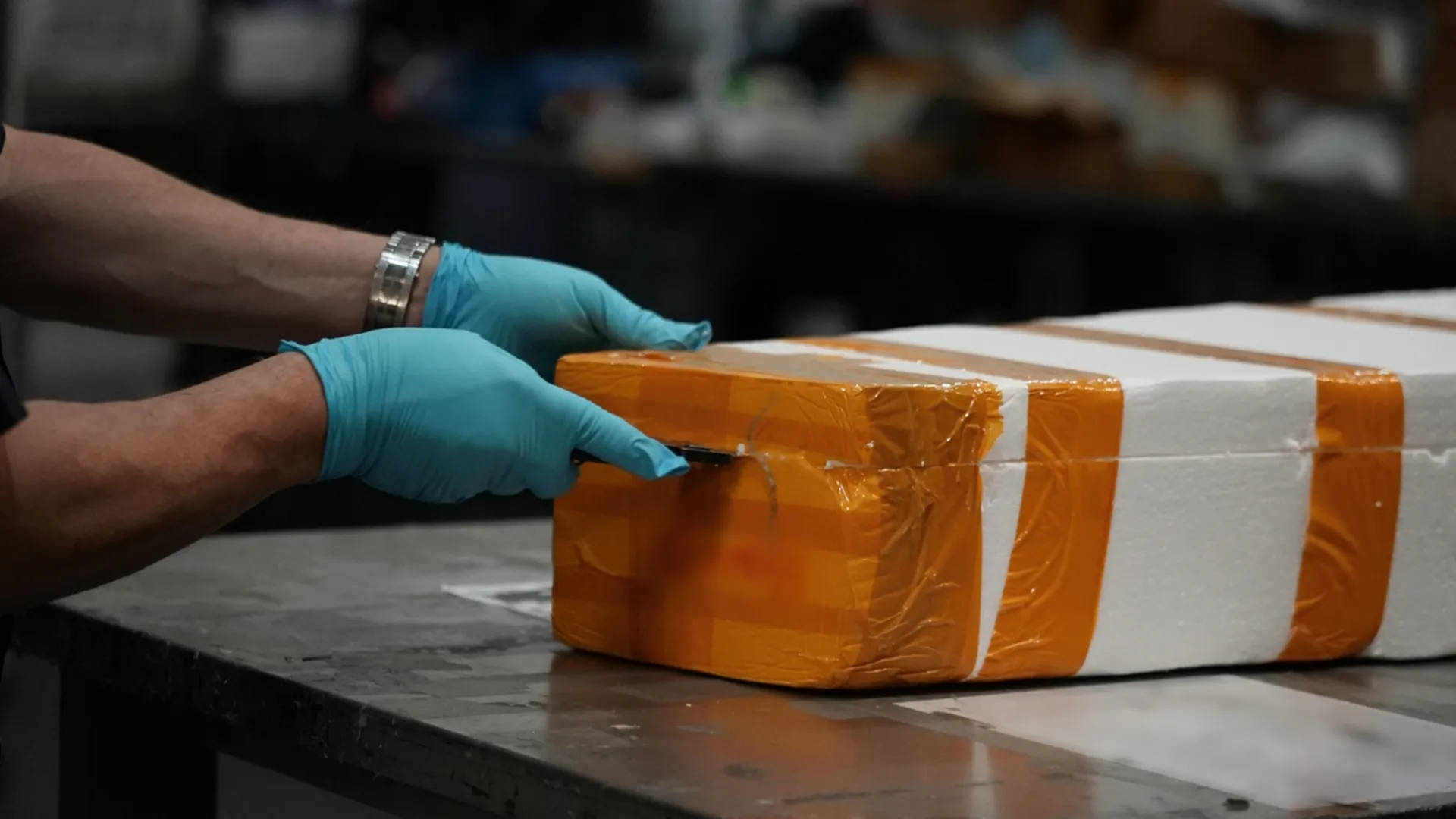 thumbnail - S10:E3 High Caliber Highway