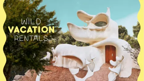 thumbnail - Wild Vacation Rentals