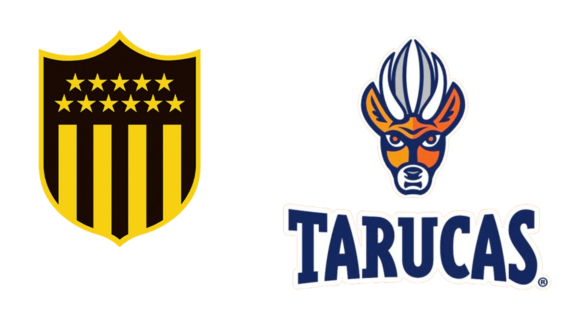 Peñarol Rugby vs. Tarucas