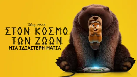 thumbnail - Στον Κόσμο Των Ζώων | Μια Ιδιαίτερη Ματιά