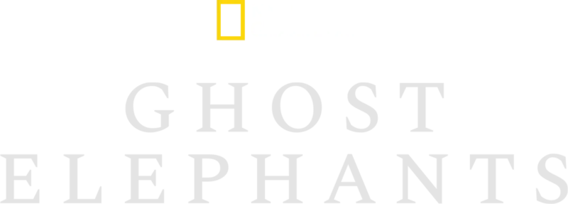 Ghost Elephants
