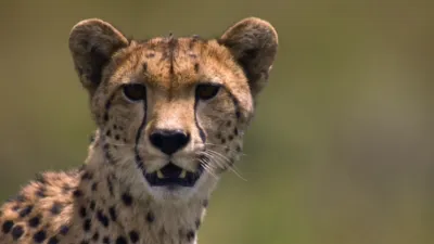 thumbnail - S1:E6 Rhythm of Life