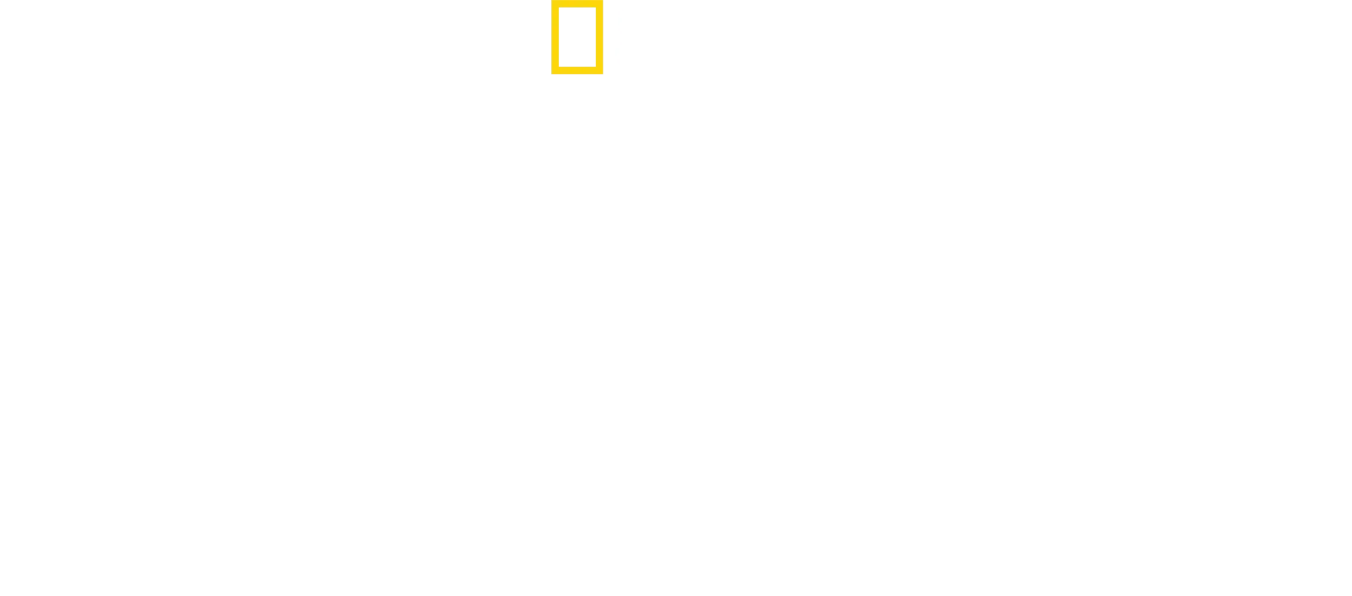 Secrets of the Bees