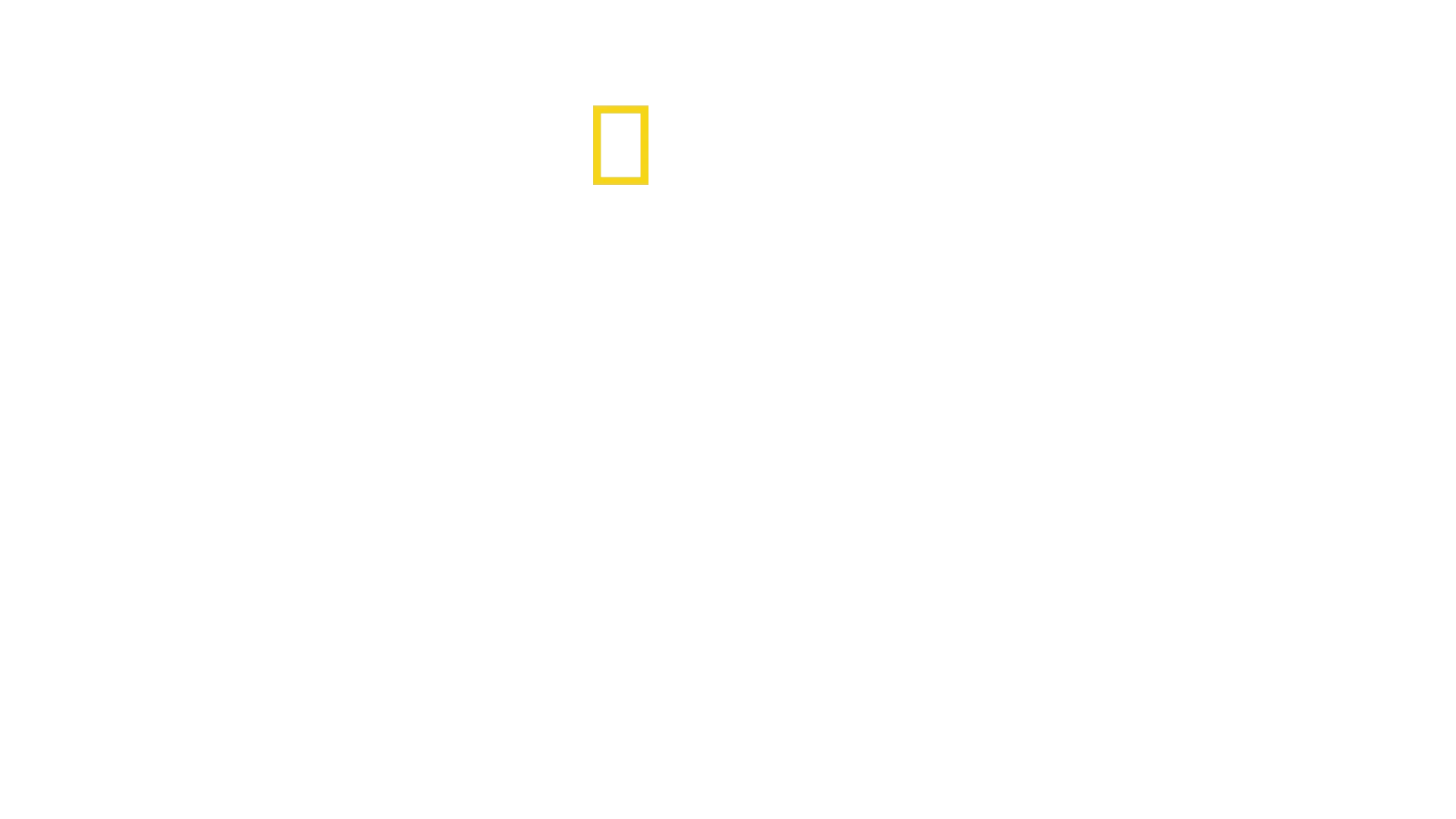 Murder In The Skies: Who Downed MH17?