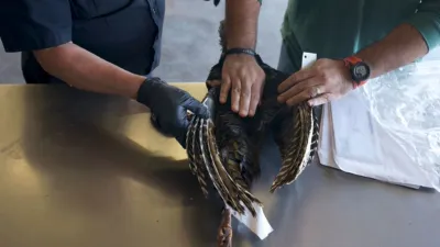 thumbnail - S10:E4 Whole Lotta Blow