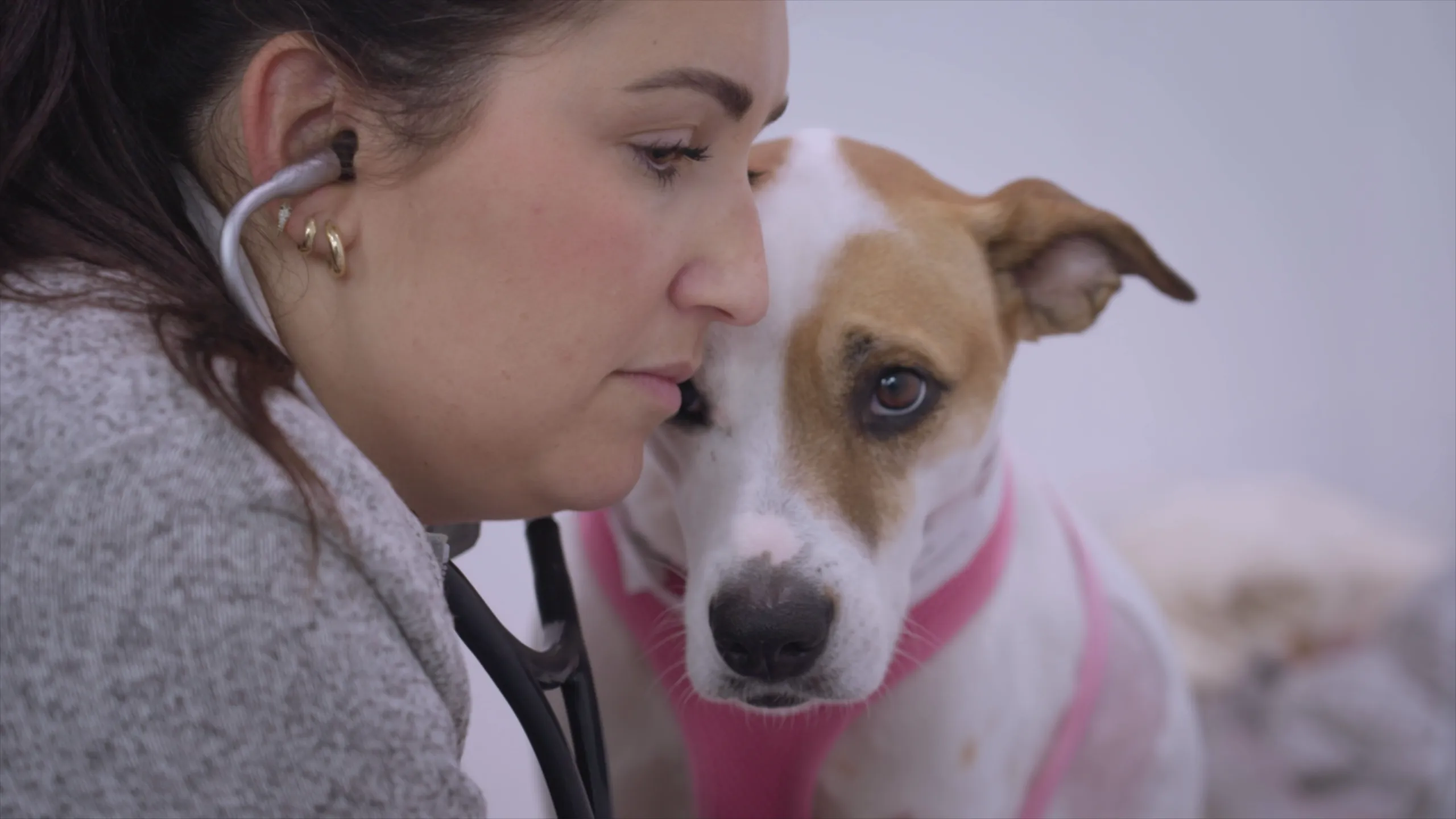 thumbnail - S1:E4 The Withering Pit Bull