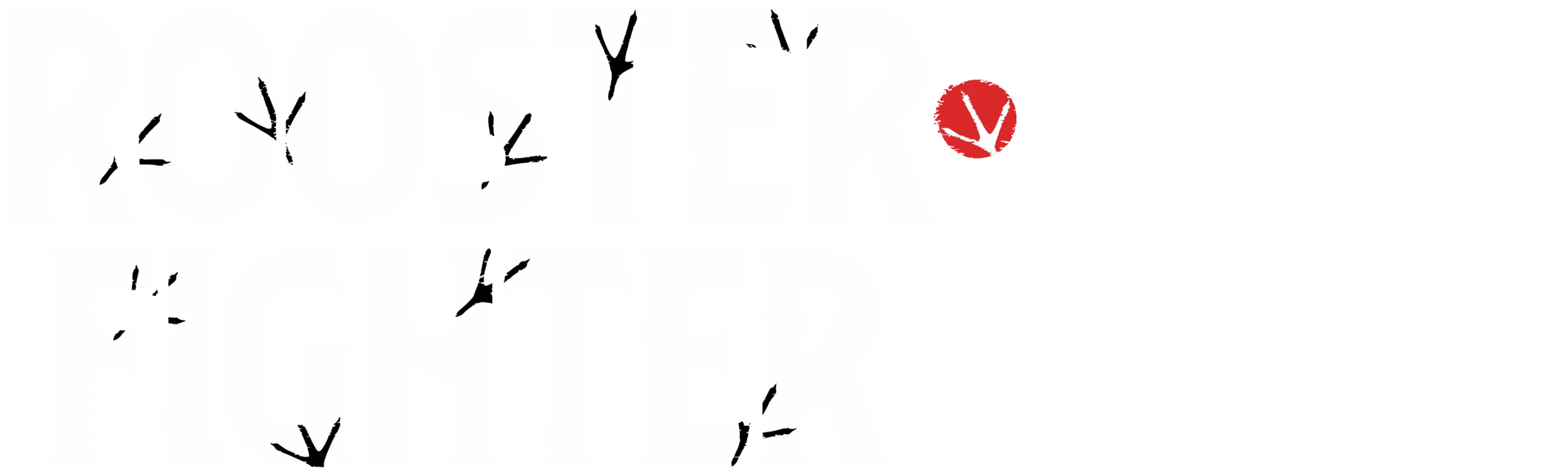 Rooster Fighter en Español