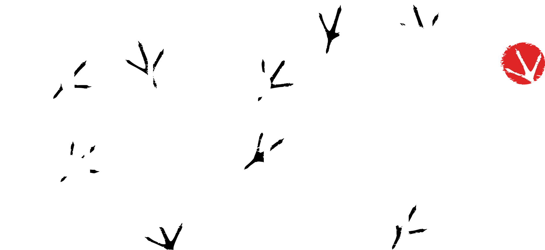 Rooster Fighter
