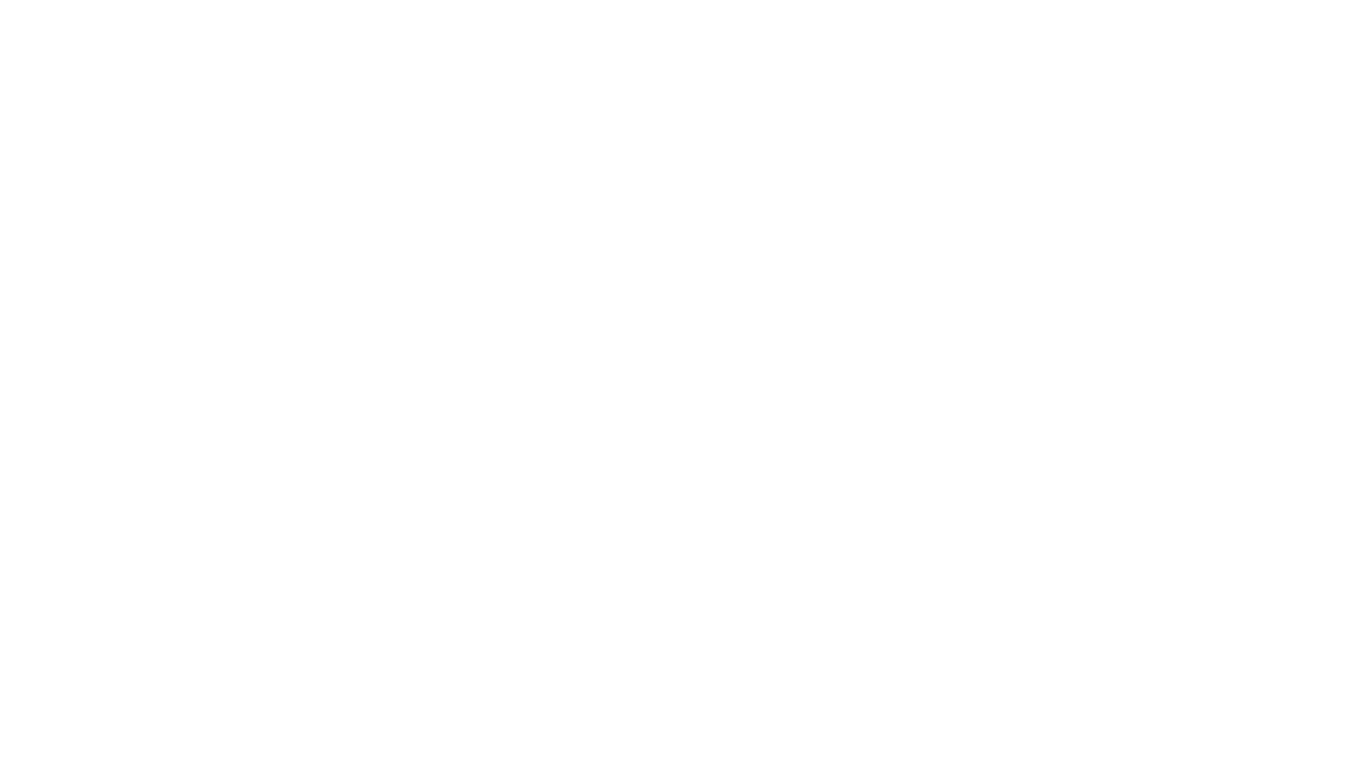 Bluey's Big Play