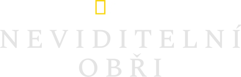 Neviditelní obři