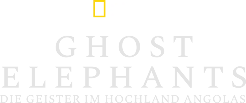 Ghost Elephants: Die Geister im Hochland Angolas